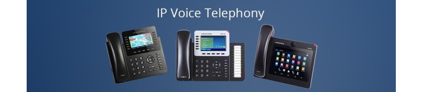 IP Voice Telephony